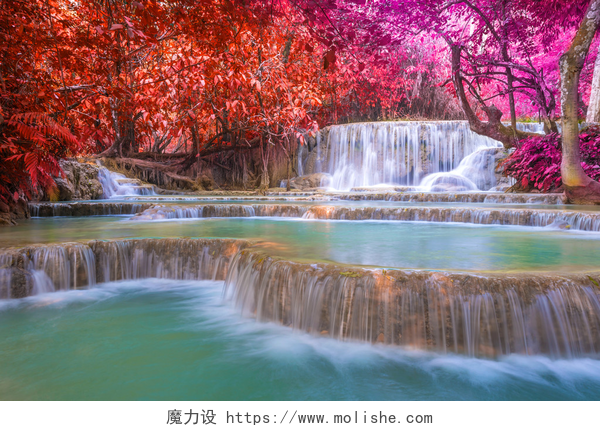 红色树叶下的瀑布流水雨林 (tat 夼寺瀑布在老挝琅勃拉邦的瀑布.)